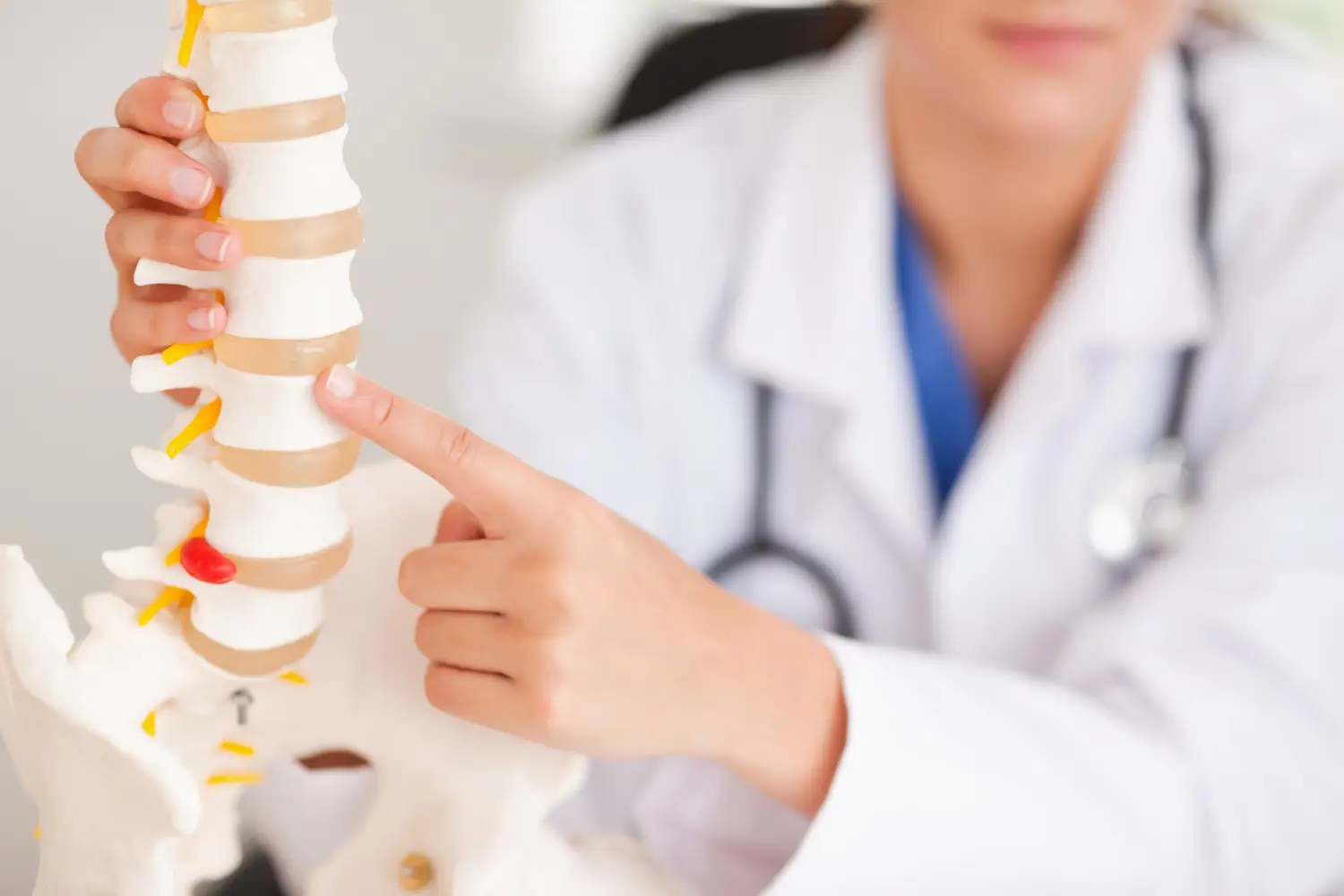 Fizjoterapeuta wskazuje odcinek kręgosłupa na modelu anatomicznym